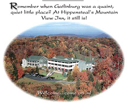 Gatlinburg TN Bed and Breakfast Smoky Mountain  Hippensteal's Mountain View Inn